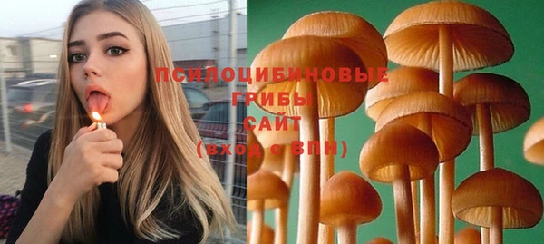mdpv Арсеньев