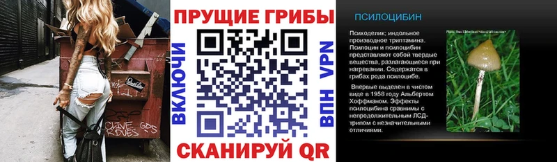 Галлюциногенные грибы Magic Shrooms Узловая